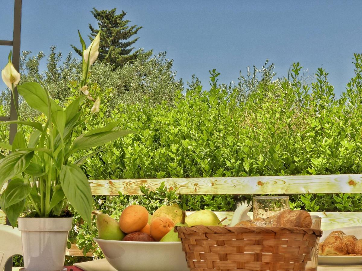 Gelsomino B&B Испика Екстериор снимка
